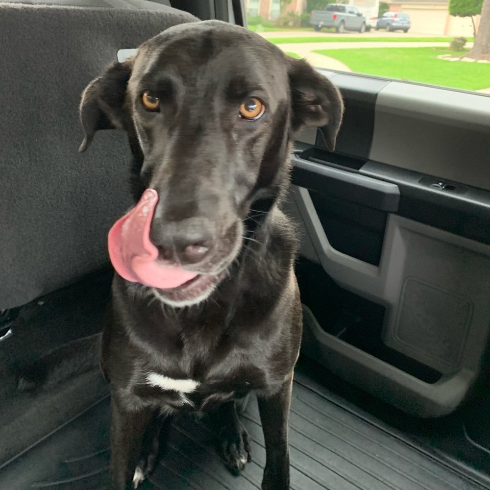 Meet your Posher, SE